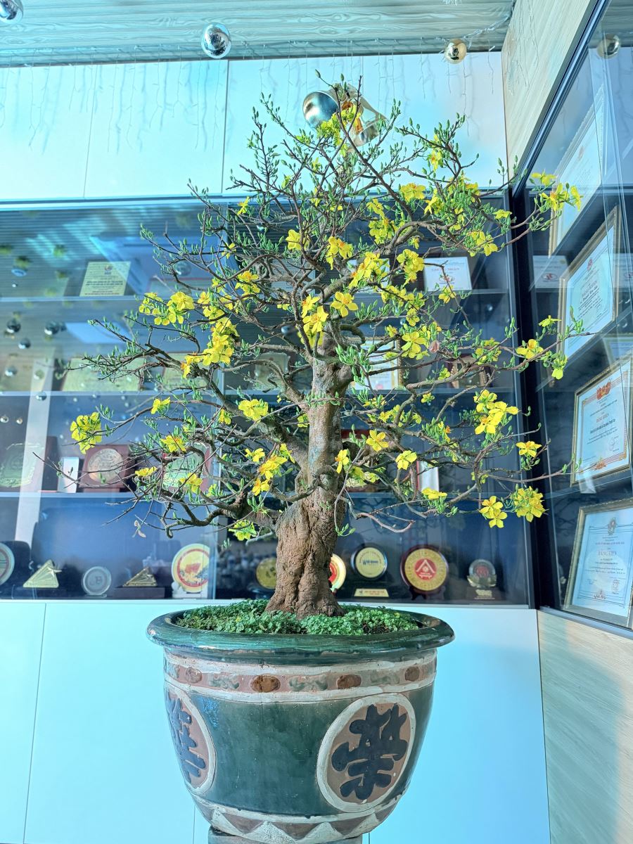 Fleurs au bureau
