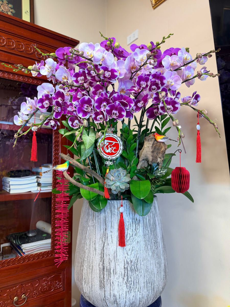 Orchidées représentant la croissance